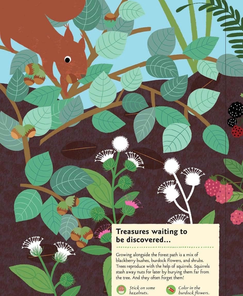 In the Forest: My Nature Activity Sticker Workbooks (Ages 5-8), photo 6 of 6