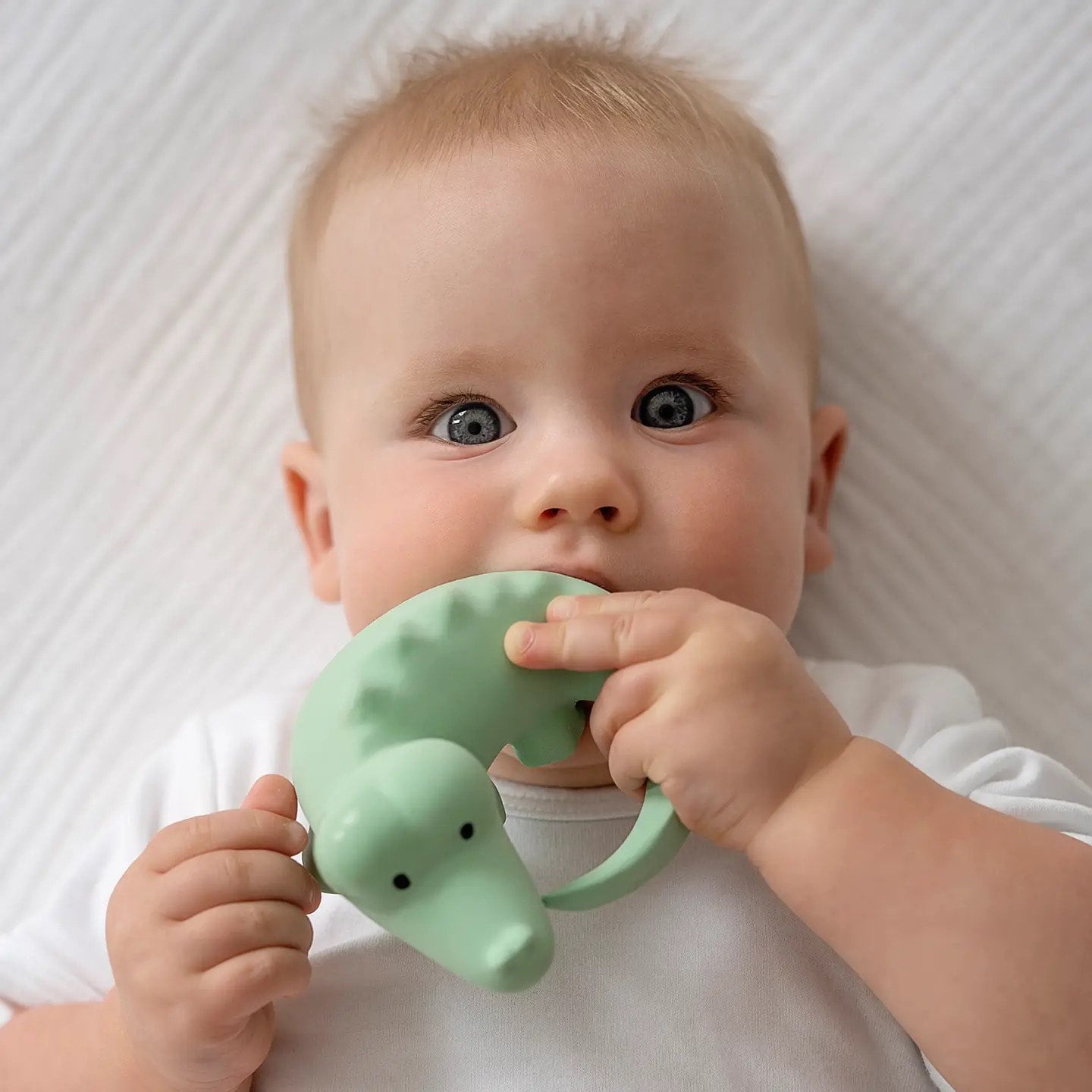 Crocodile Rubber Rattle -My First Safari Animals -Tikiri, photo 3 of 5