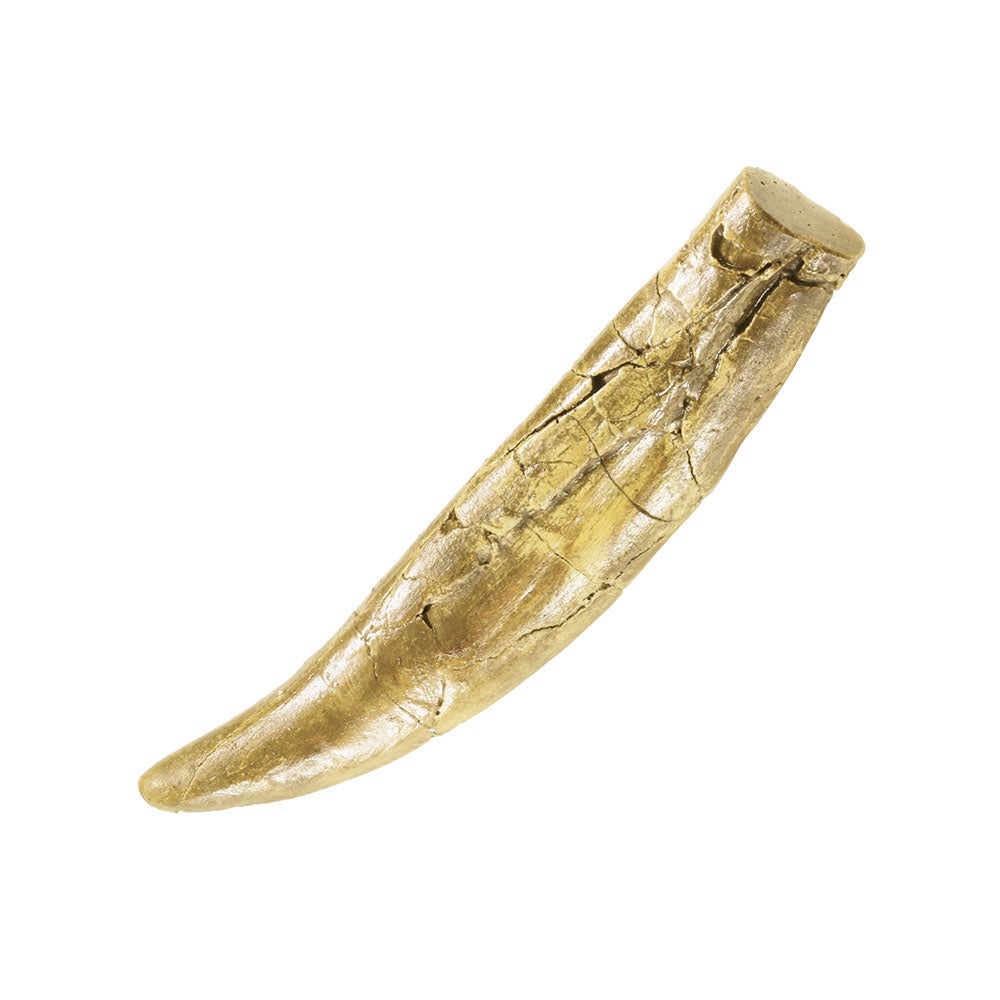 I Dig It! Dinos T. Rex Tooth Excavation Kit - Thames & Kosmos, photo 2 of 4