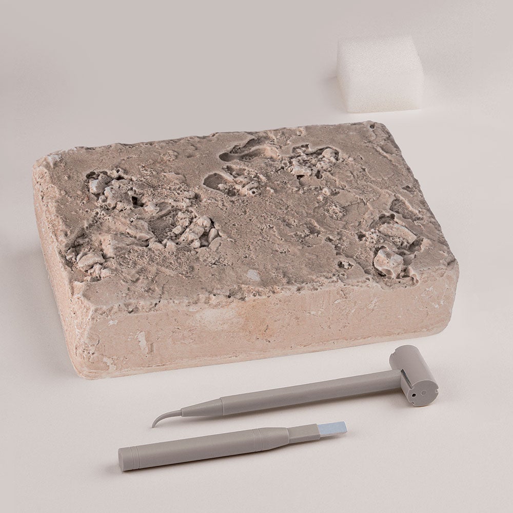 I Dig It! Dinos T. Rex Tooth Excavation Kit - Thames & Kosmos, photo 3 of 4