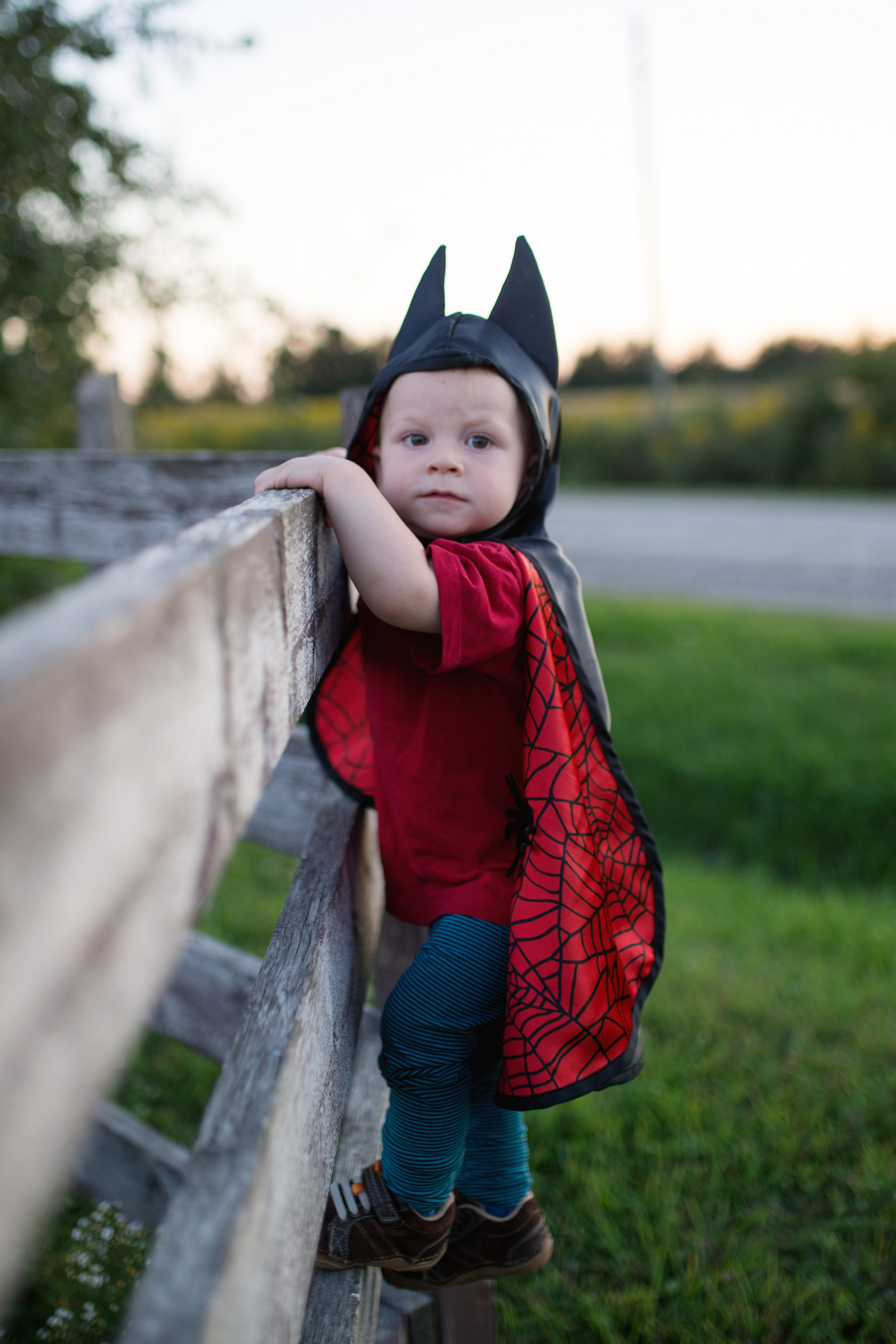 Reversible Spider/Bat Toddler Cape - Size 2-3 - Great Pretenders 55272, photo 4 of 7