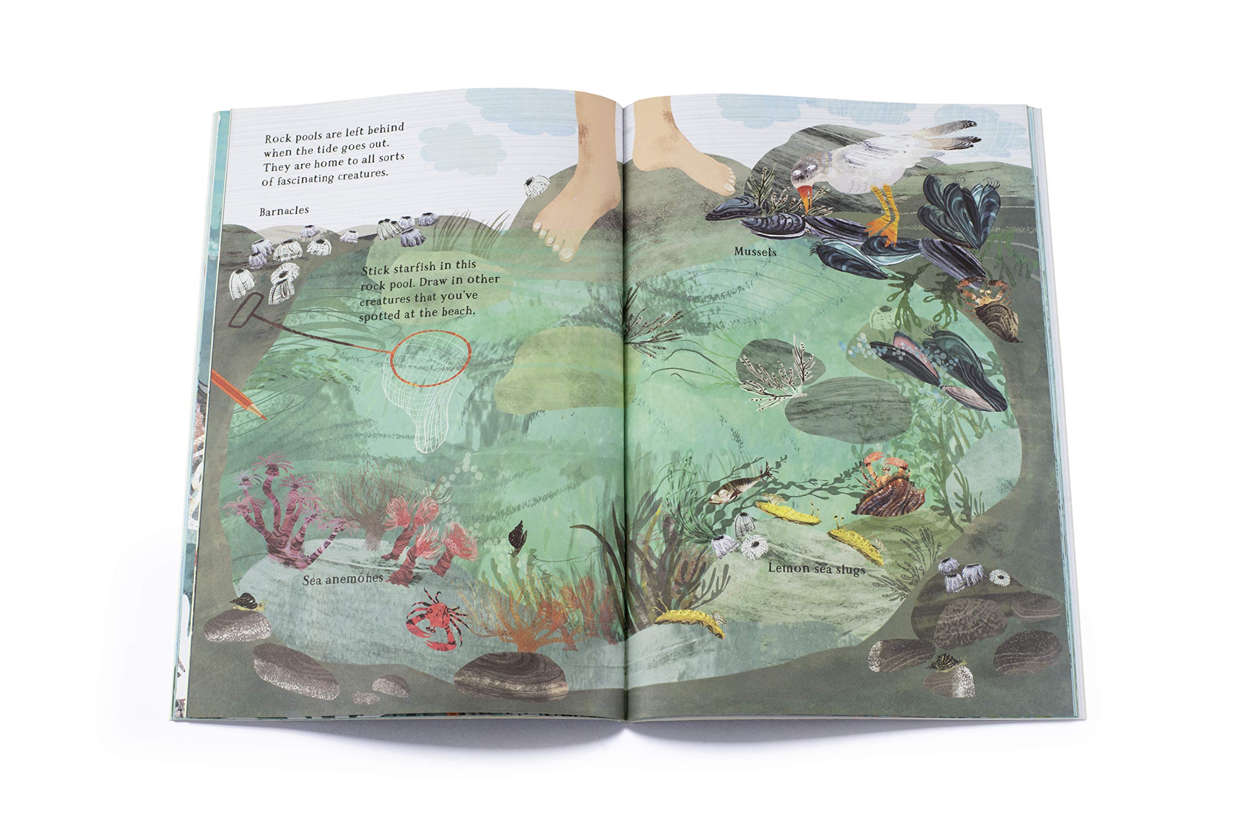 The Big Sticker Book of Blue (The Big Book Series), photo 4 of 6