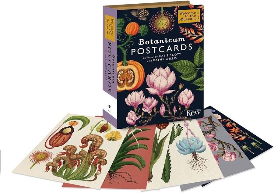 Botanicum Postcards - Welcome to the Museum - Big Picture Press, photo 2 of 5