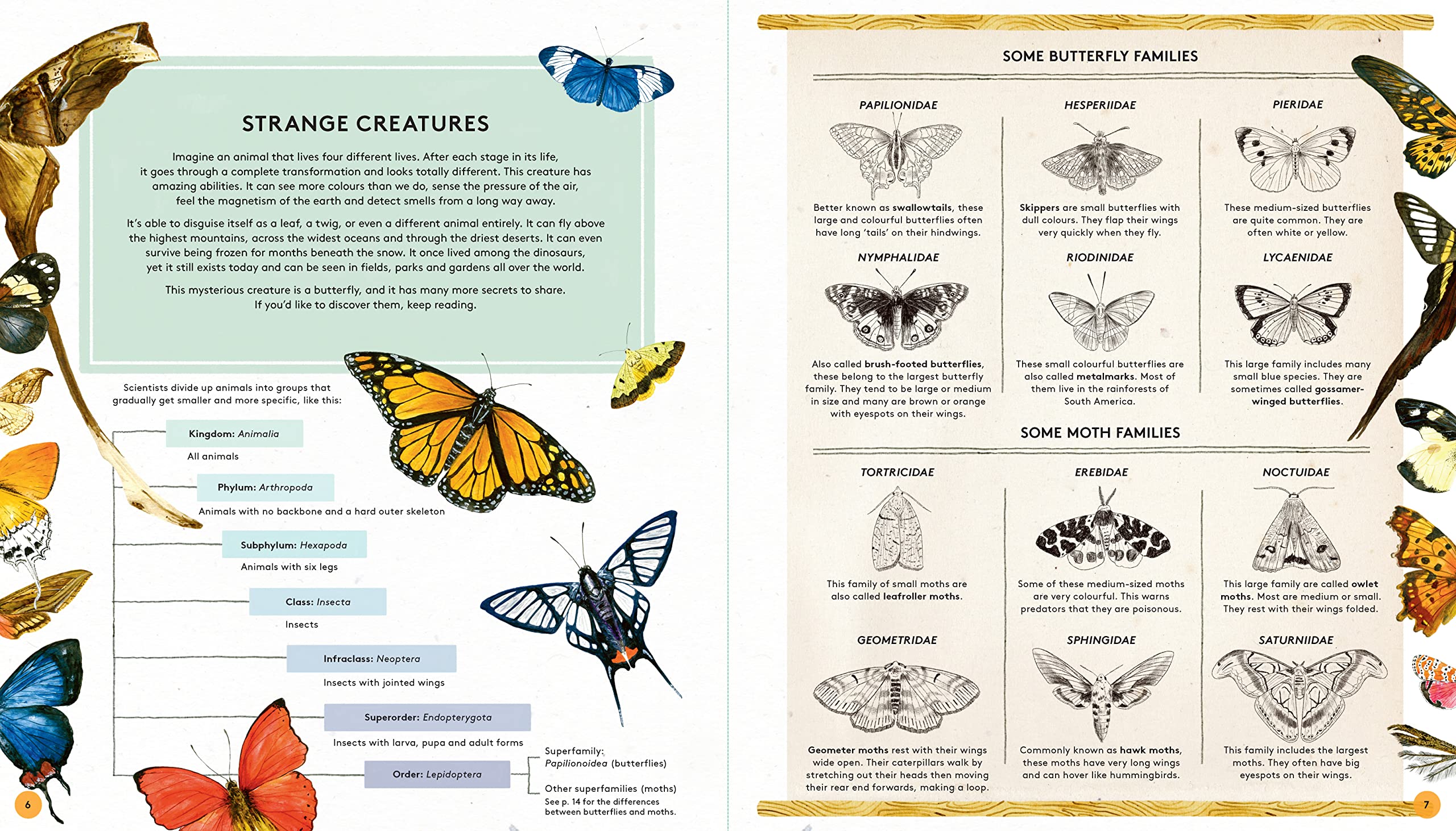 The Secret Life of Butterflies - Hardcover Books, photo 6 of 8