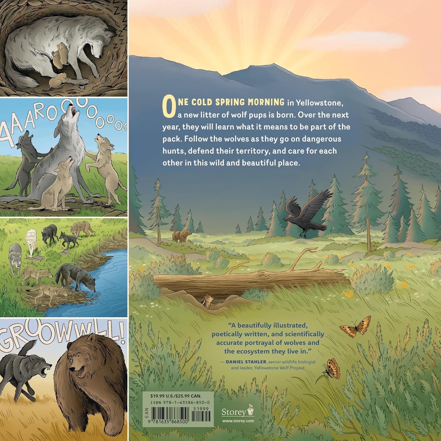 What Goes on Inside a Wolf Pack: Follow the Adventures of a Wolf Family in Yellowstone National Park - Hardcover 8-10 yrs, photo 4 of 4