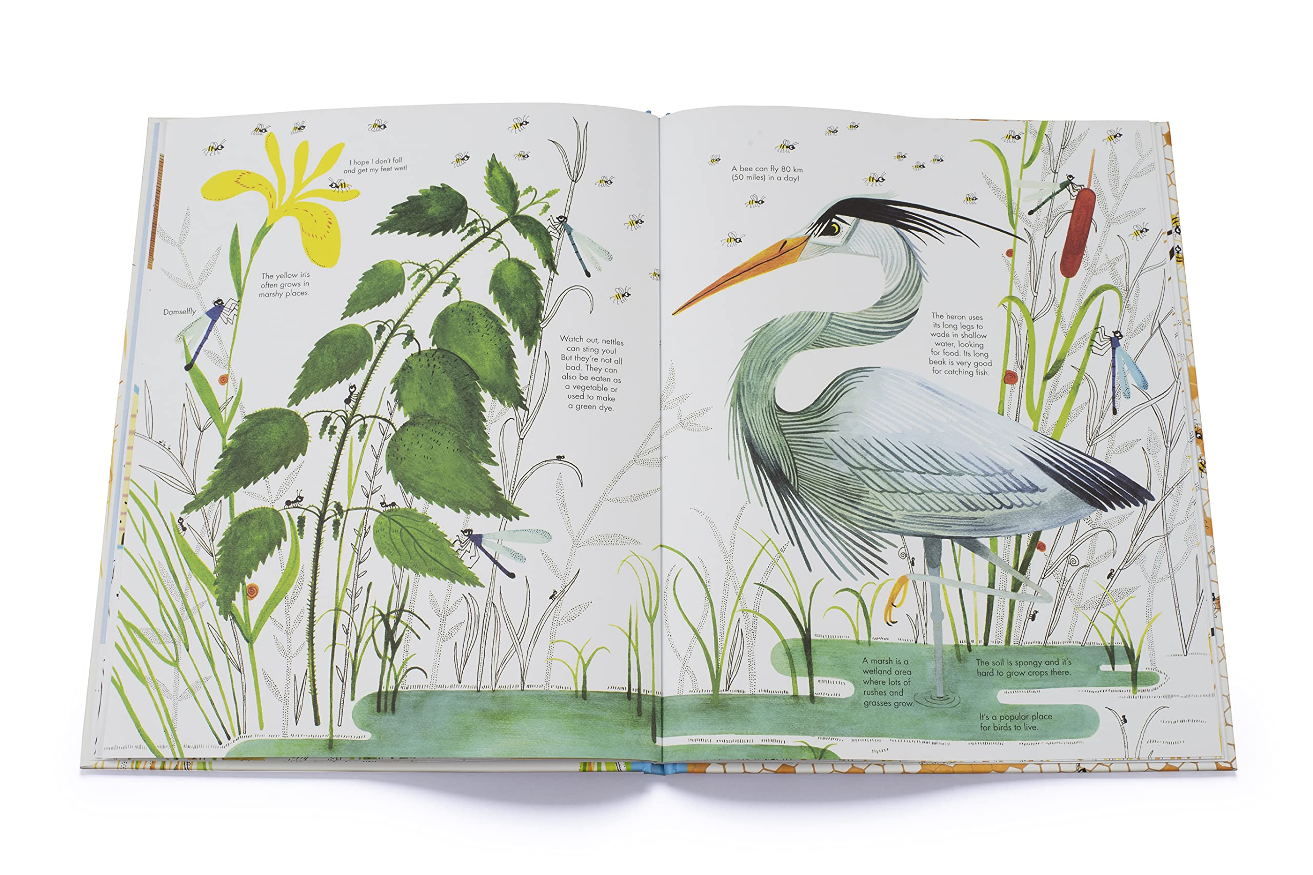 1001 Bees - Hardcover Books, photo 4 of 7
