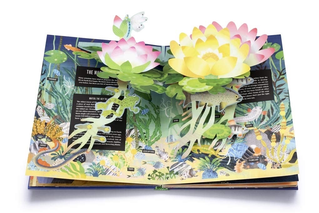 Pop-up Earth - Hardcover Thames&Hudson, photo 3 of 3