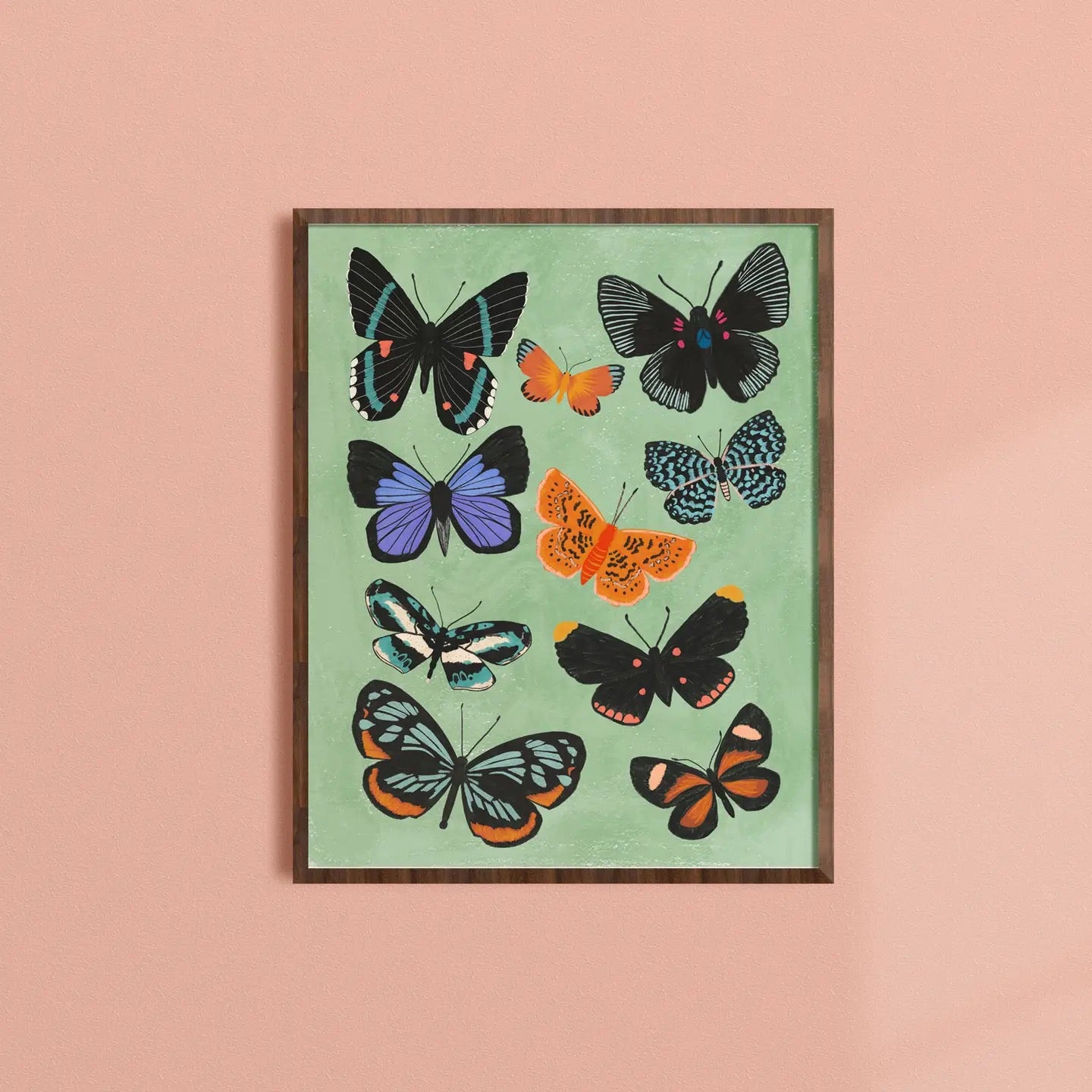 Butterfly Chart Art Print - 11 x 14 - Dream Folk Studio - Made in USA, photo 1 of 2