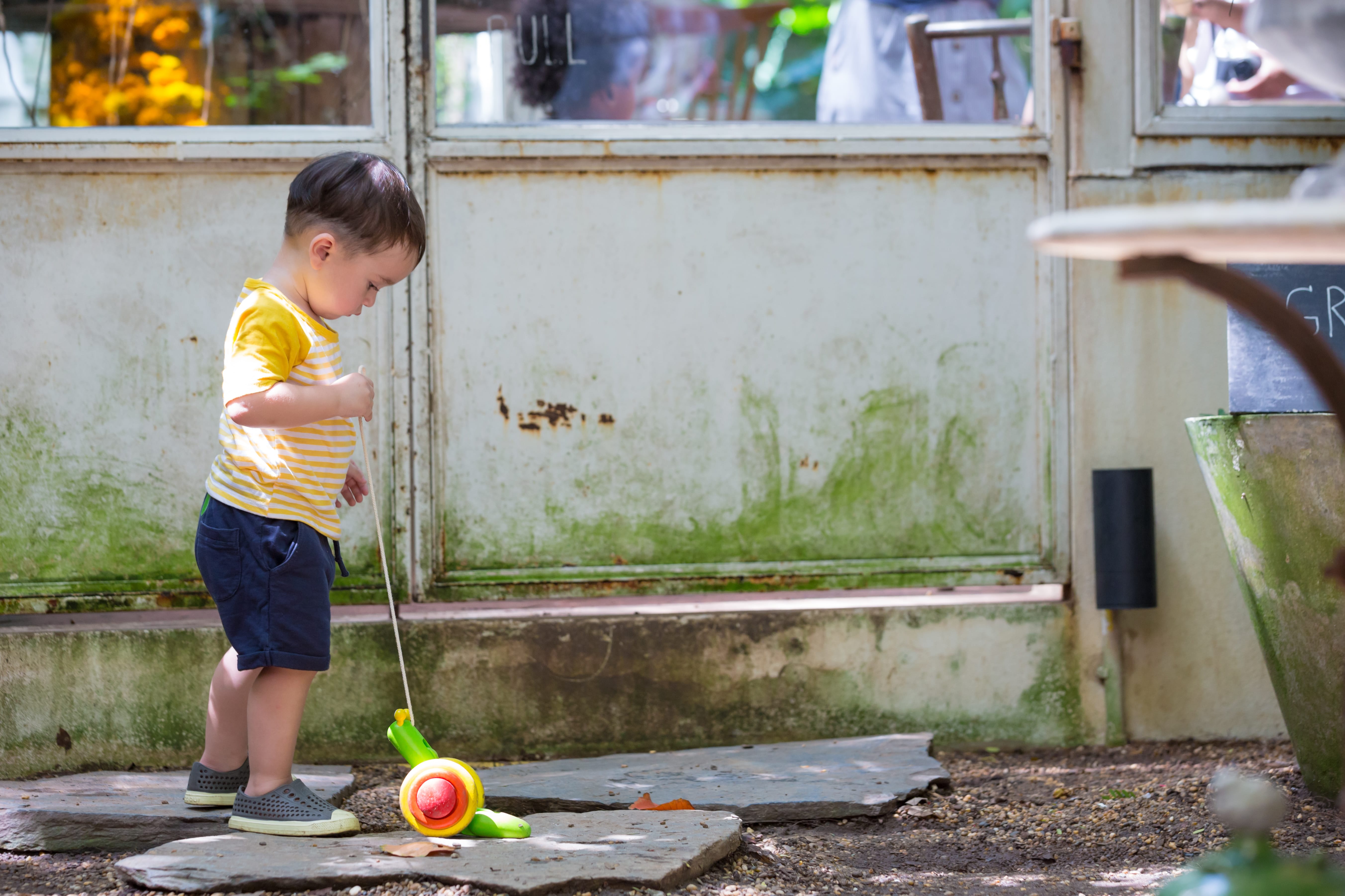 Pull Along Snail - PlanToys, photo 2 of 4