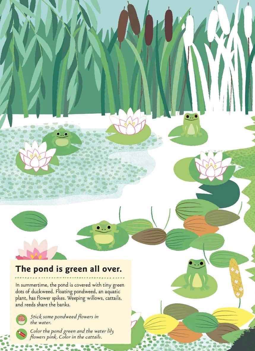 In the Forest: My Nature Activity Sticker Workbooks (Ages 5-8), photo 4 of 6