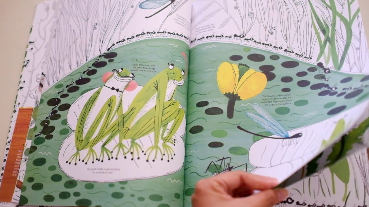 1001 Ants - Hardcover Books, photo 3 of 4
