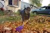 Long Handled Leaf Rake - Spielstabil, photo 4 of 4