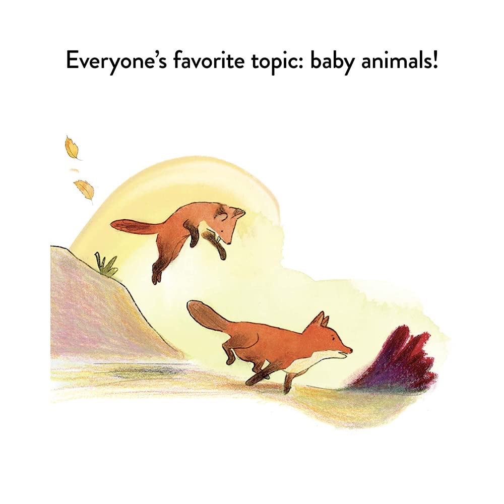 A Kit Story (An Animal Story) by Alison Farrell - Board Book, photo 2 of 3