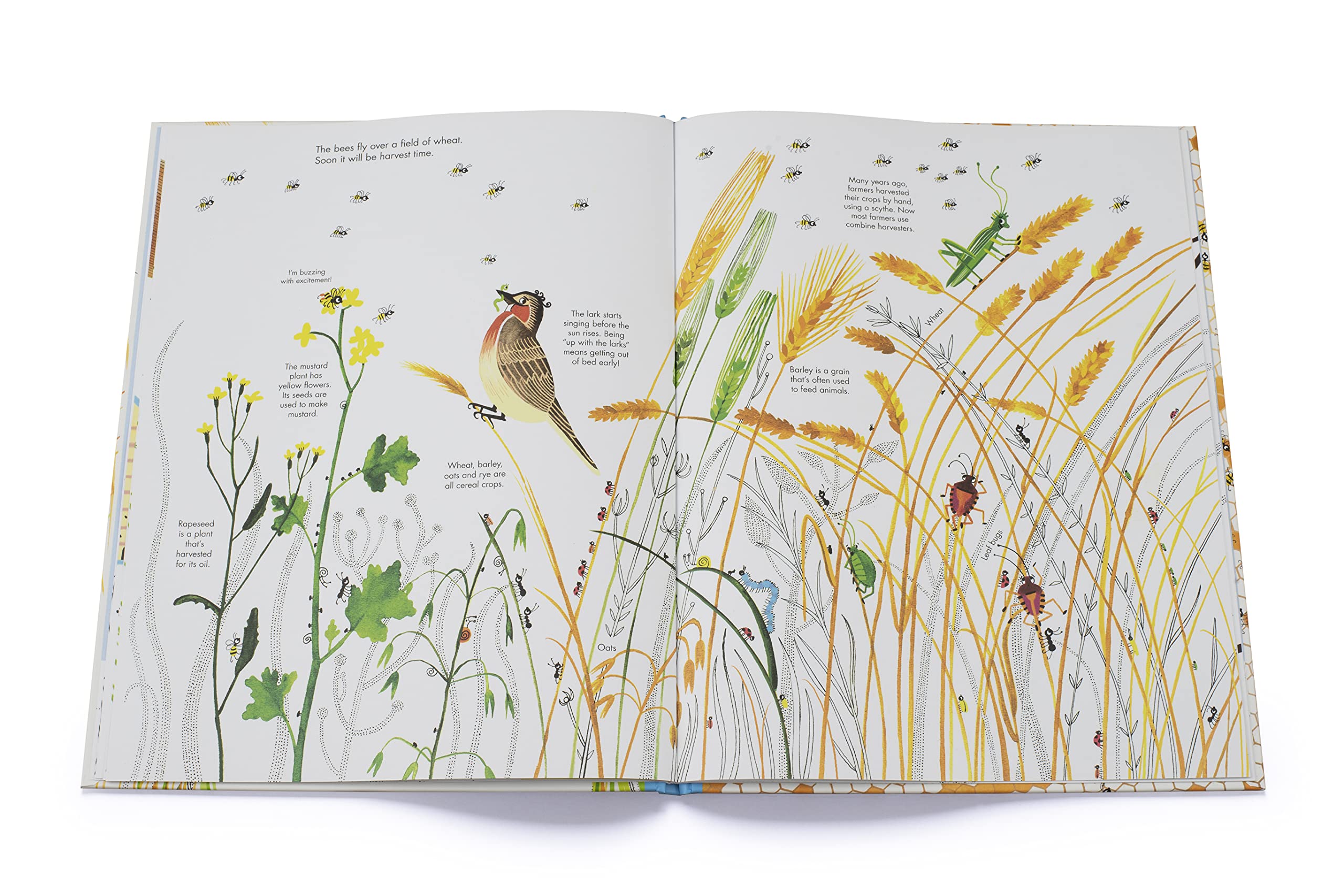 1001 Bees - Hardcover Books, photo 6 of 7
