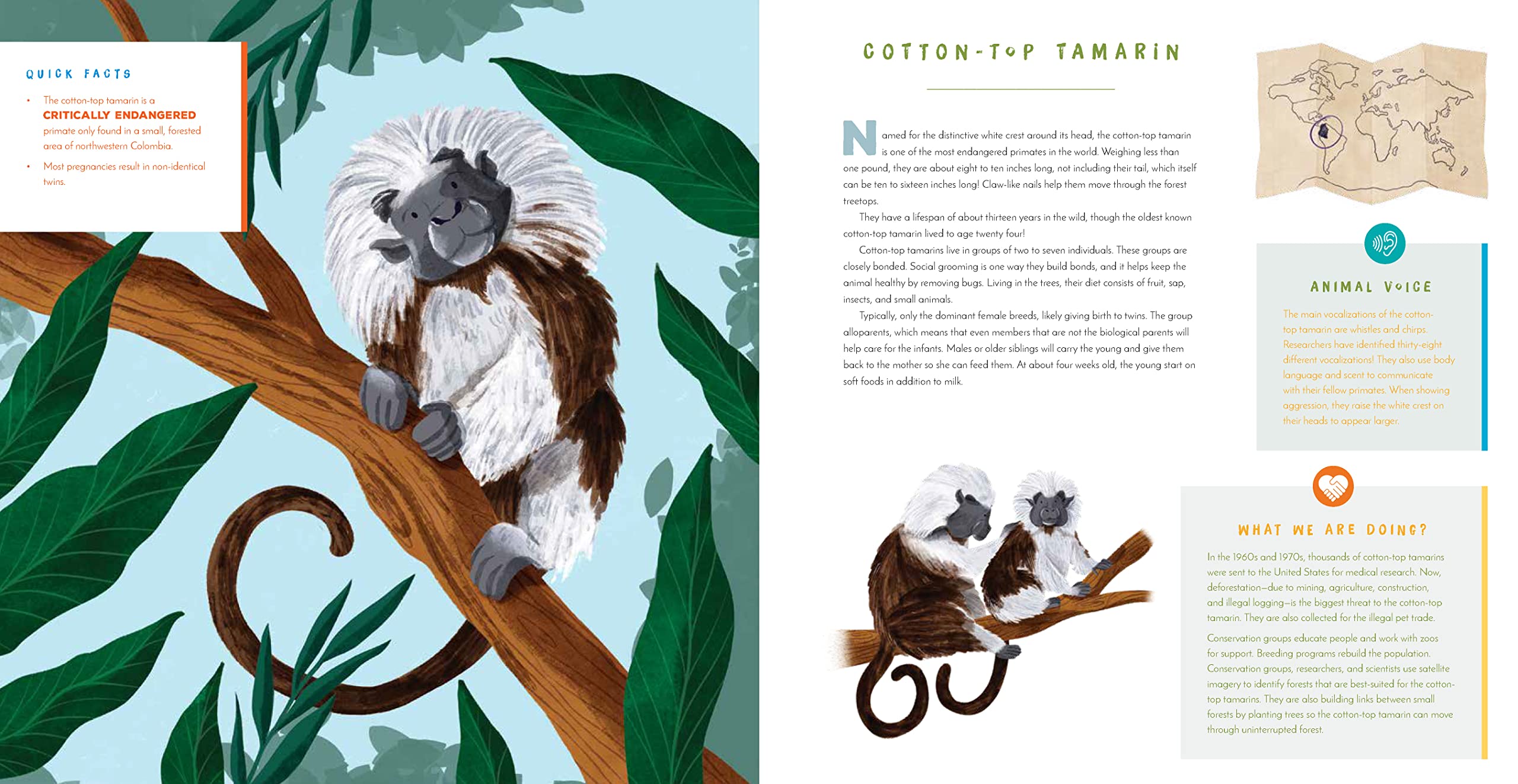 Hear Them Roar! 14 Endangered Animals from Around the World - Listen and Learn - Hardcover Books, photo 4 of 6