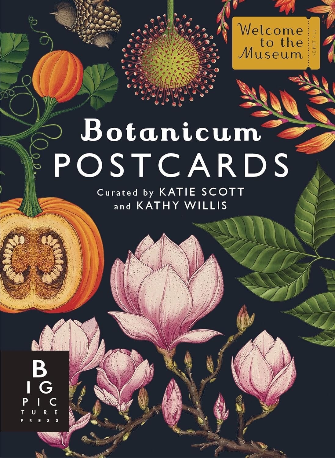 Botanicum Postcards - Welcome to the Museum - Big Picture Press, photo 5 of 5