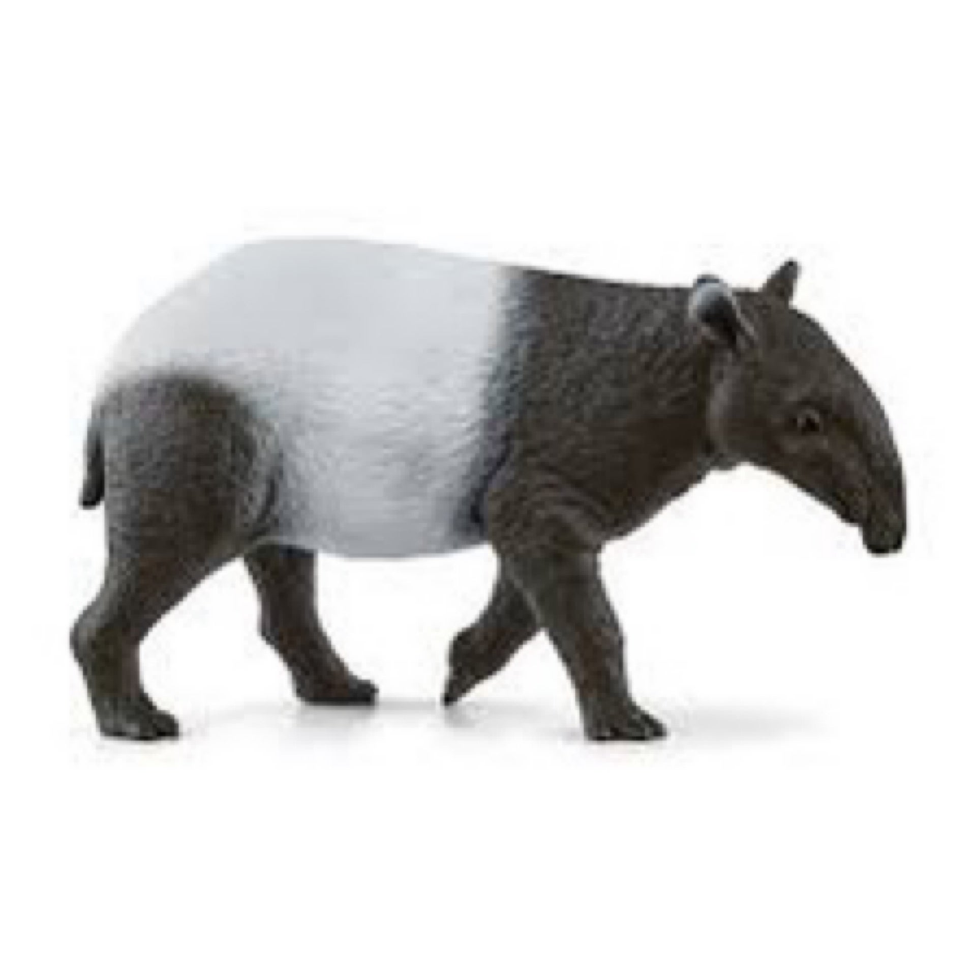 Tapir - Schleich 14850, photo 1 of 7