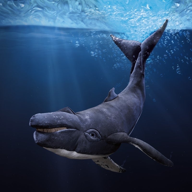 Humpback Whale - Folkmanis Hand Puppet, photo 3 of 3
