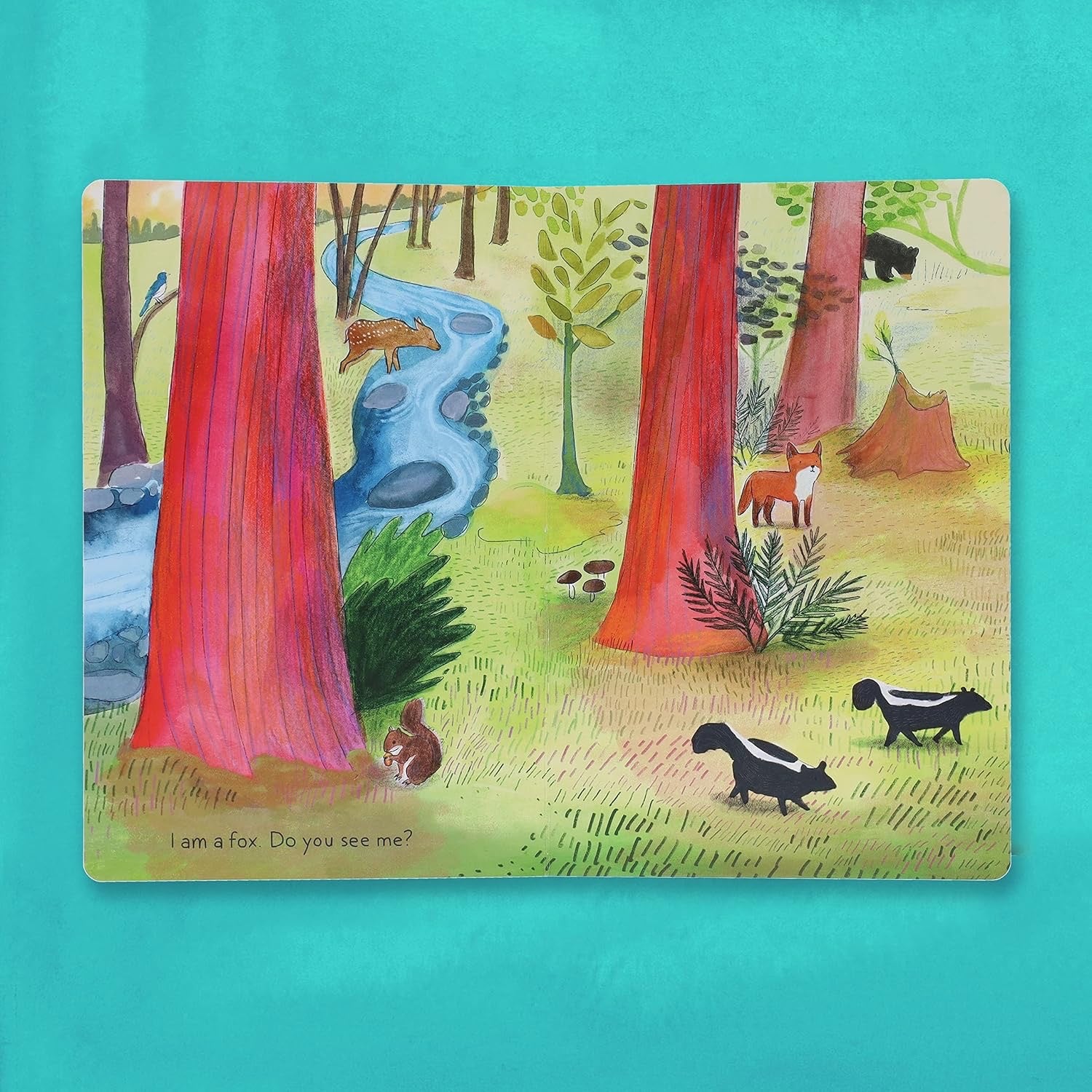A Kit Story (An Animal Story) by Alison Farrell - Board Book, photo 3 of 3