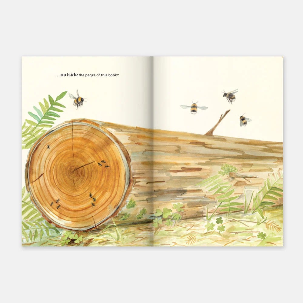 Patterns, Patterns Everywhere - Hardcover Books, photo 5 of 5