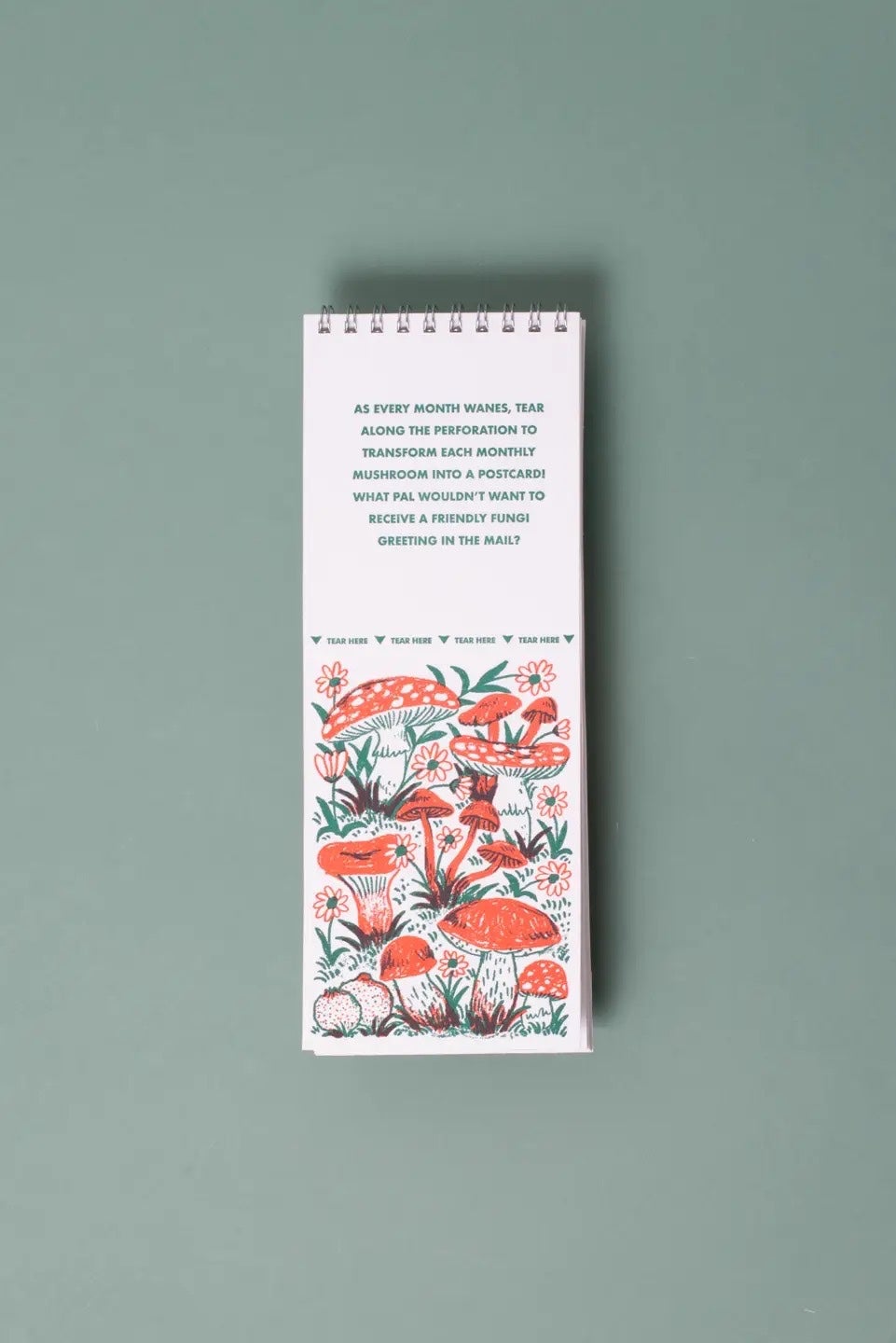 2027 Mushroom and Gnome Postcard Calendar - Phoebe Wahl, photo 3 of 5