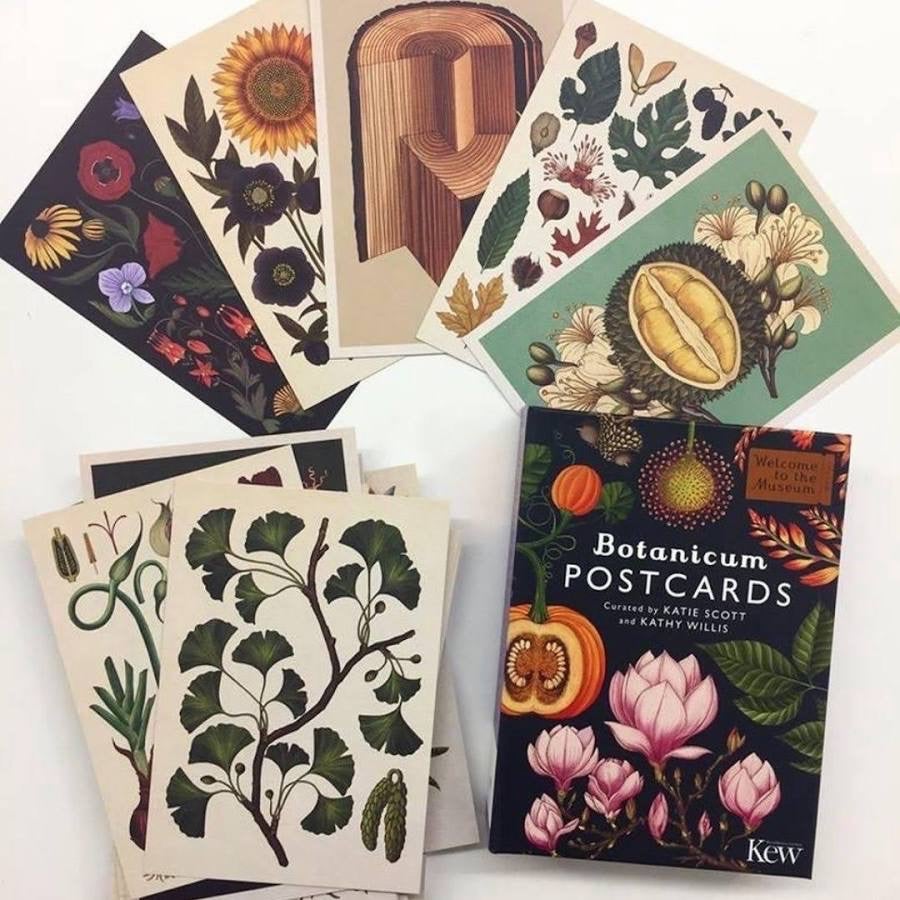 Botanicum Postcards - Welcome to the Museum - Big Picture Press, photo 3 of 5