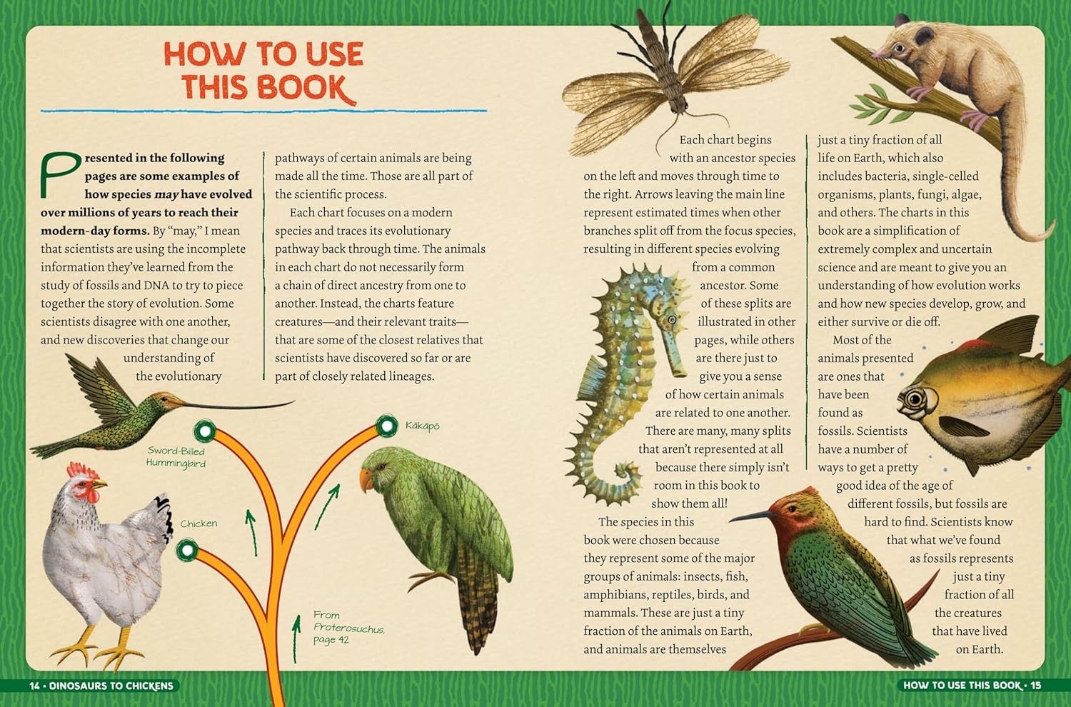 Dinosaurs to Chickens, How Evolution Works - Hardcover Books, photo 2 of 4
