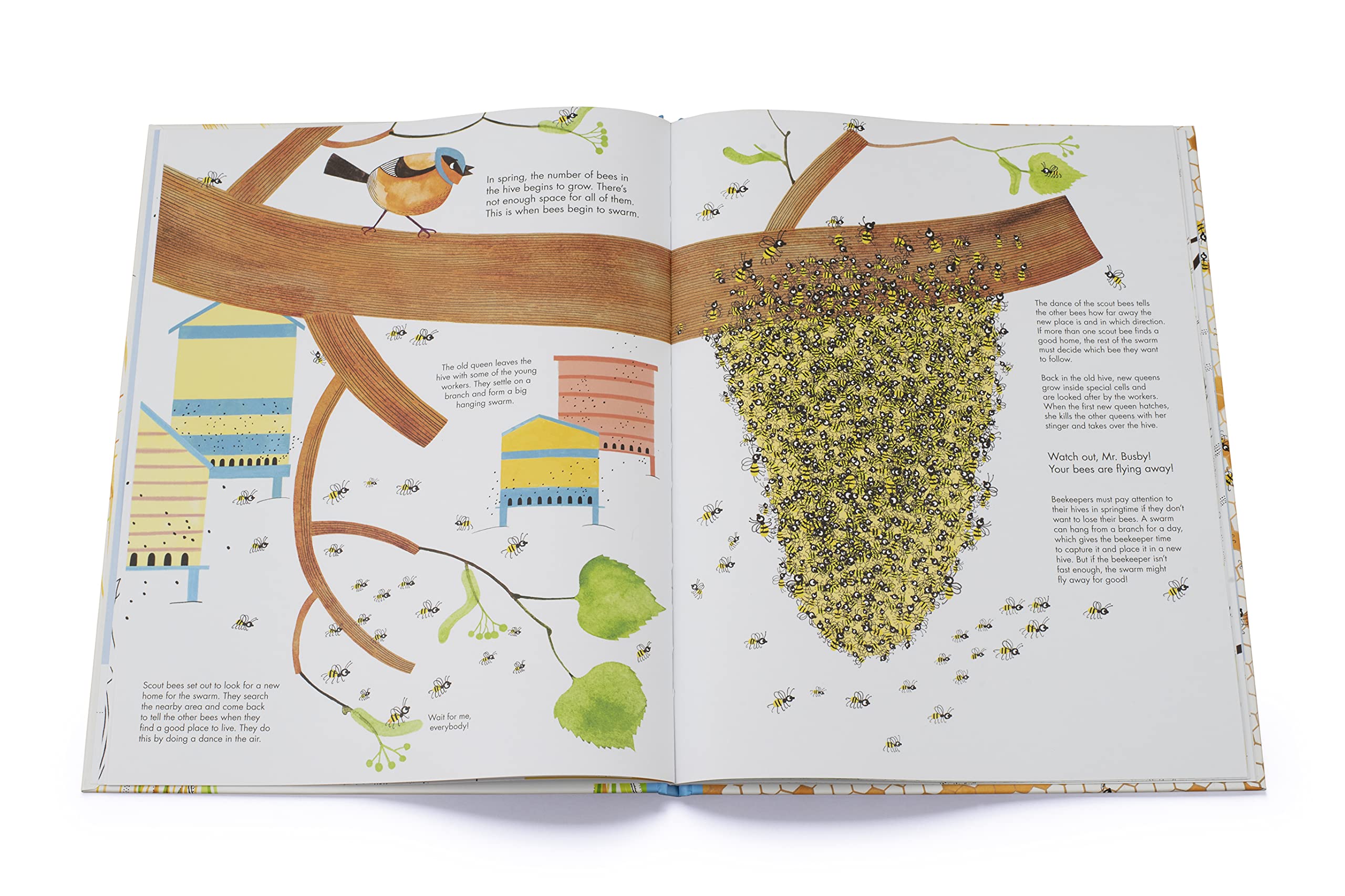 1001 Bees - Hardcover Books, photo 7 of 7