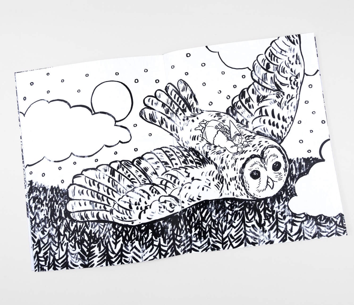 Assorted Coloring Books - Phoebe Wahl, photo 6 of 8