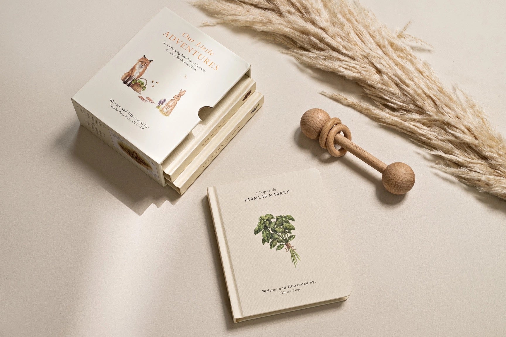 Our Little Adventures Board Book Set by Tabitha Paige, photo 2 of 5