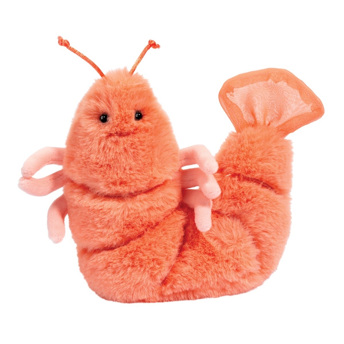 Salty Shrimp - Douglas