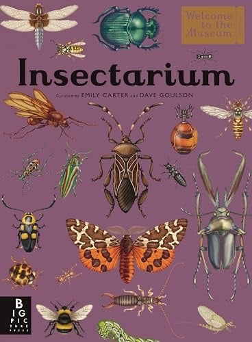 Insectarium - (Welcome to the Museum) by Dave Goulson (Hardcover), photo 1 of 3