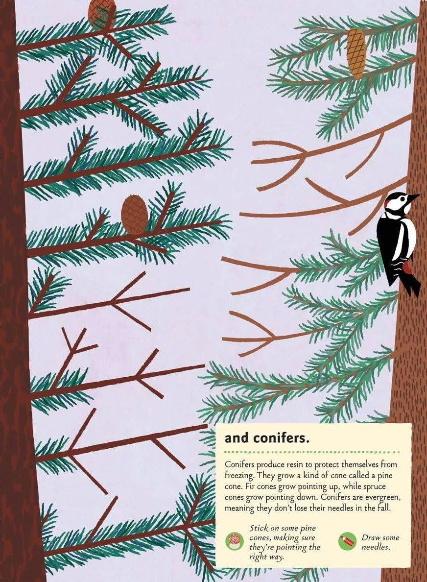 In the Forest: My Nature Activity Sticker Workbooks (Ages 5-8), photo 2 of 6