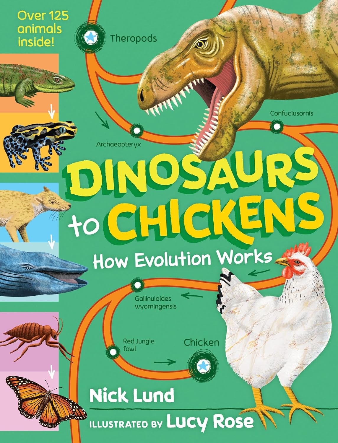 Dinosaurs to Chickens, How Evolution Works - Hardcover Books, photo 1 of 4