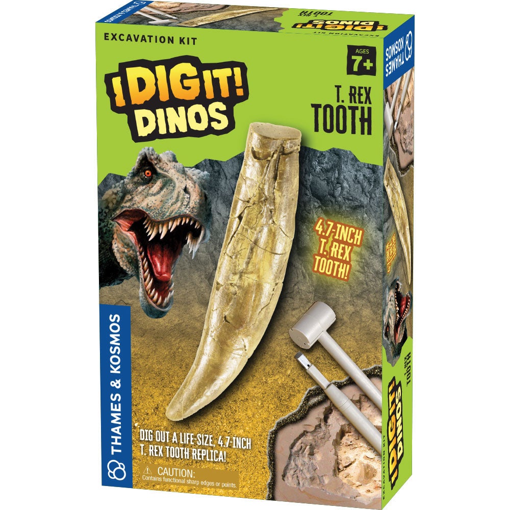 I Dig It! Dinos T. Rex Tooth Excavation Kit - Thames & Kosmos, photo 1 of 4