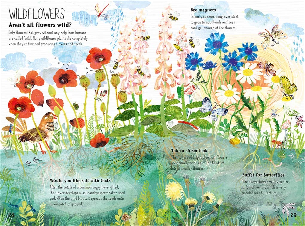 The Big Book of Blooms (The Big Book Series) - Large Hardcover Books, photo 4 of 8