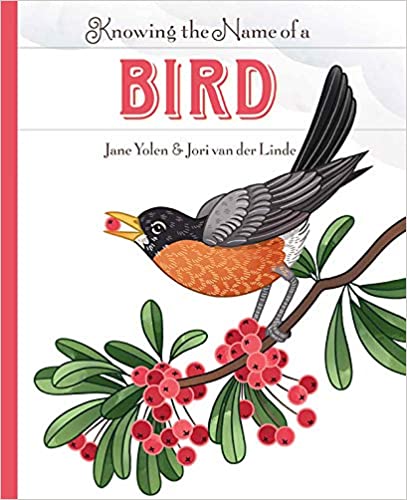 Knowing the Name of a Bird - Hardcover Books