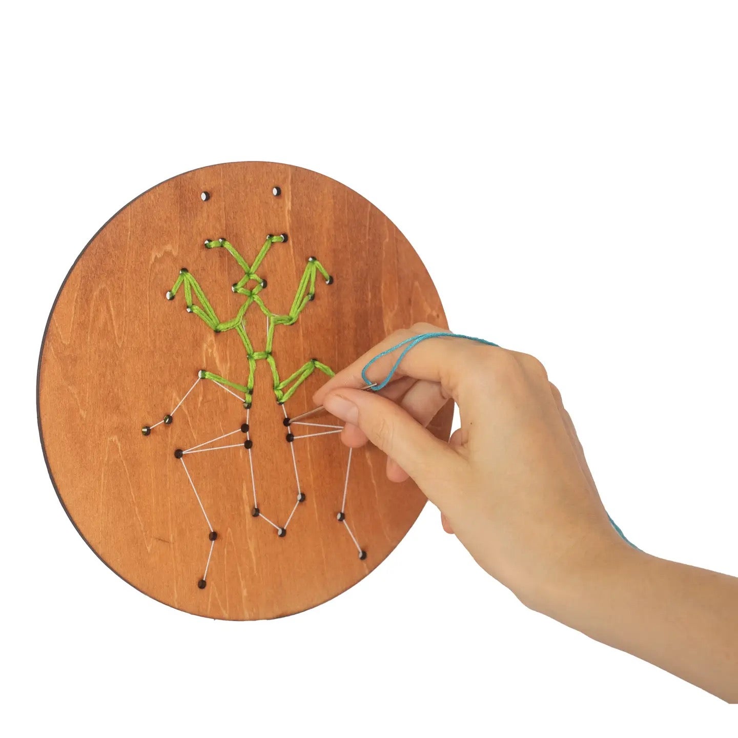 Insects Wooden Embroidery Kit - Kipod, photo 5 of 5