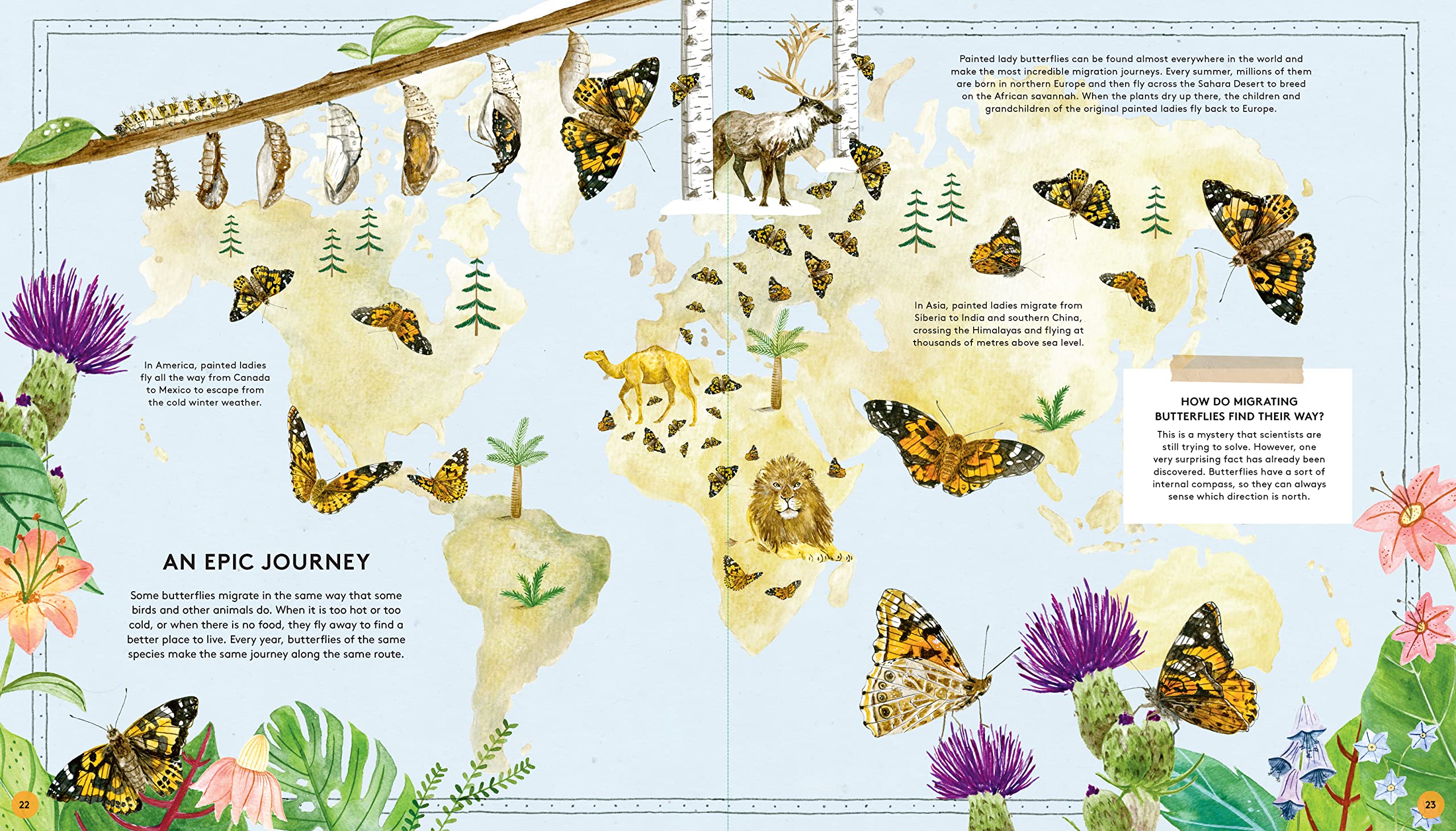The Secret Life of Butterflies - Hardcover Books, photo 2 of 8