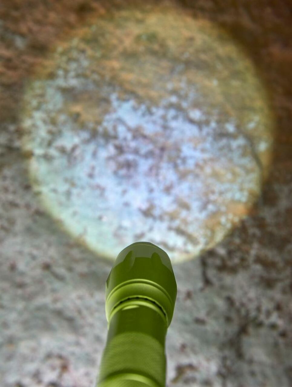 Terra Kids Flashlight by HABA, photo 3 of 4