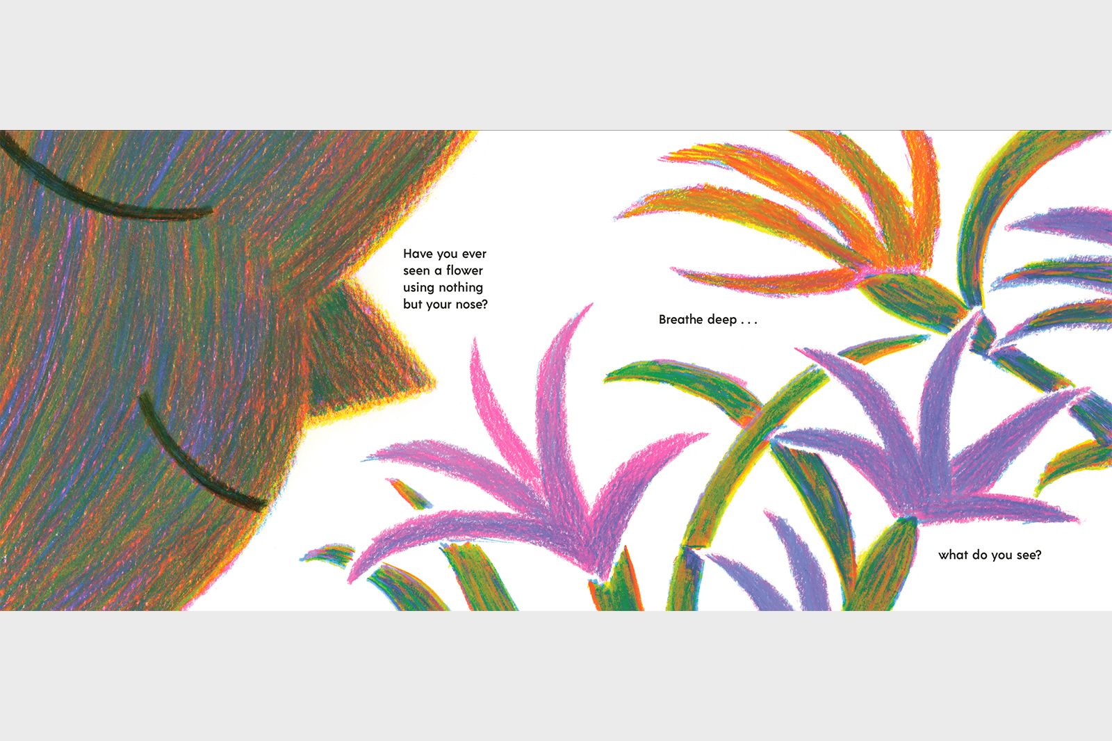 Have You Ever Seen A Flower? by Shawn Harris - Hardcover Books, photo 6 of 7