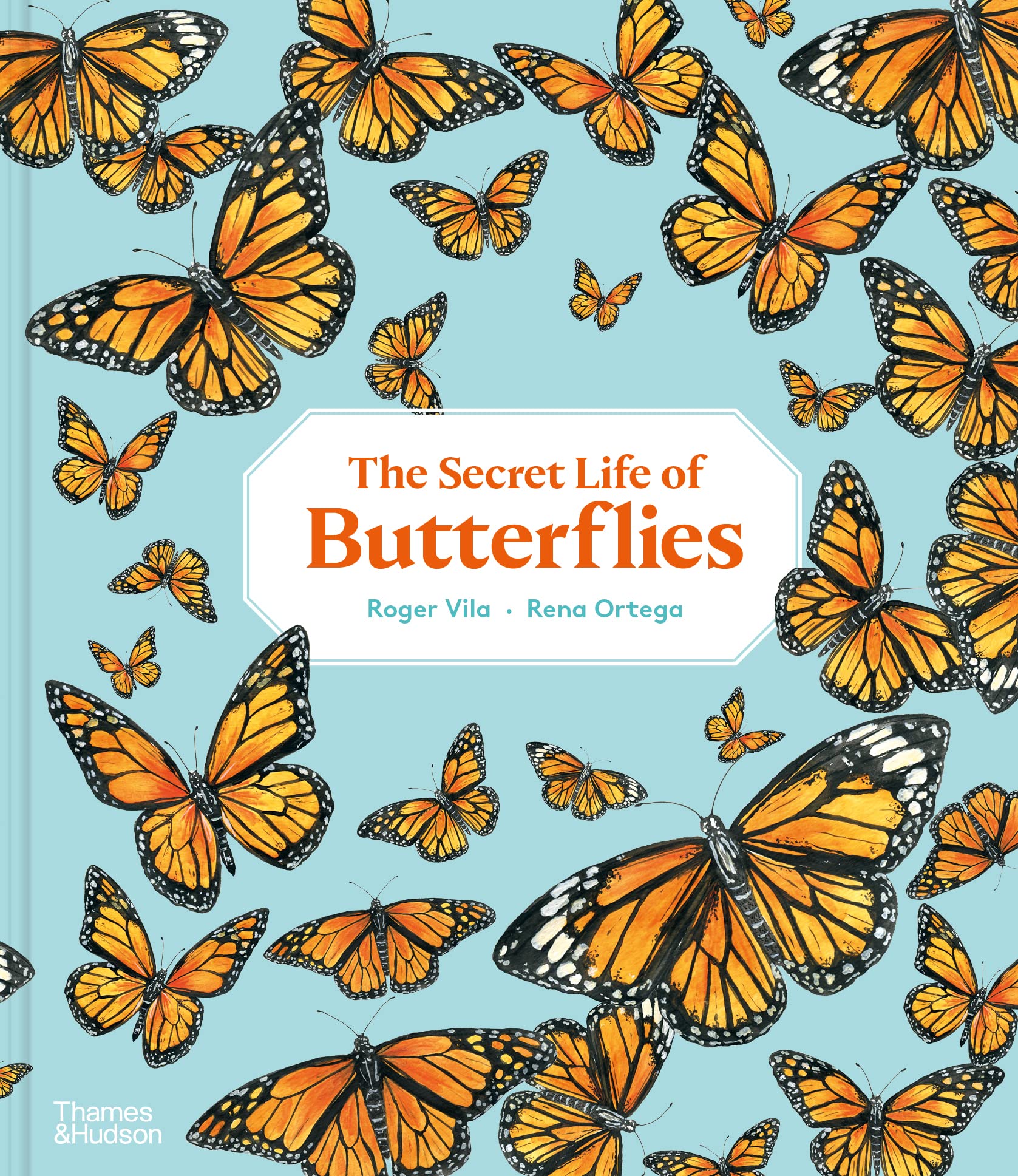 The Secret Life of Butterflies - Hardcover Books, photo 1 of 8