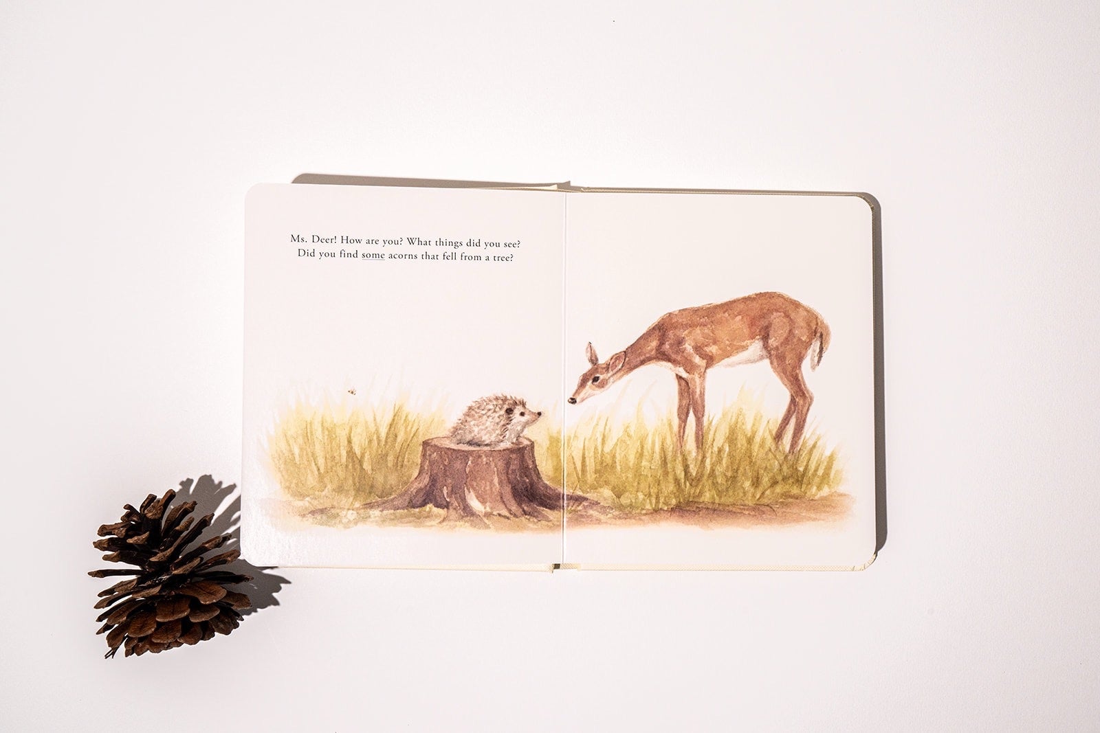 Our Little Adventures Board Book Set by Tabitha Paige, photo 5 of 5