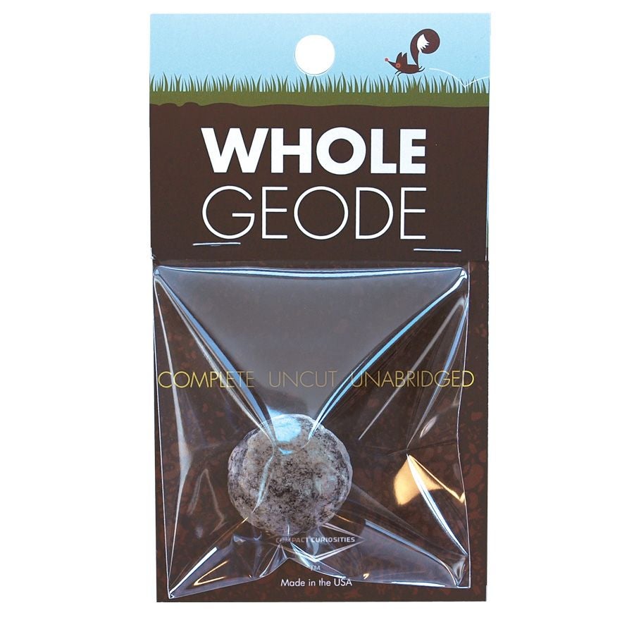 Whole Geode - Copernicus Toys