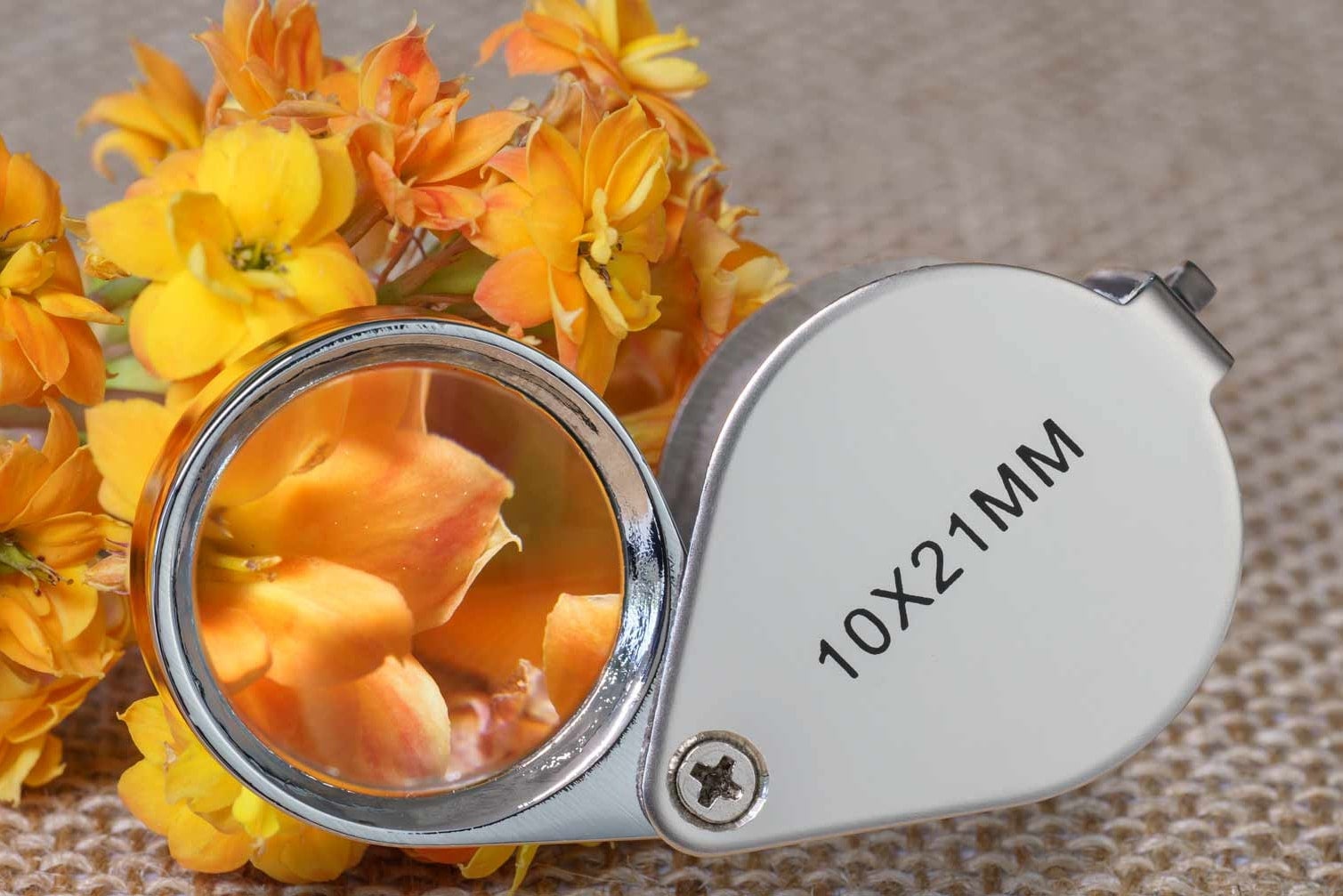Field Magnifier - Heebie Jeebies, photo 6 of 7