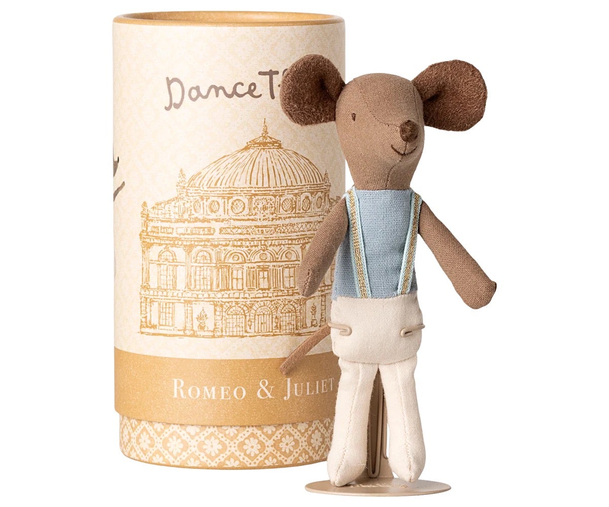 Big Brother Ballet Dancer Mouse in Tube - Maileg, photo 1 of 4