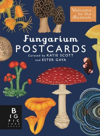 Fungarium Postcard Box Set - Welcome to the Museum, photo 1 of 3