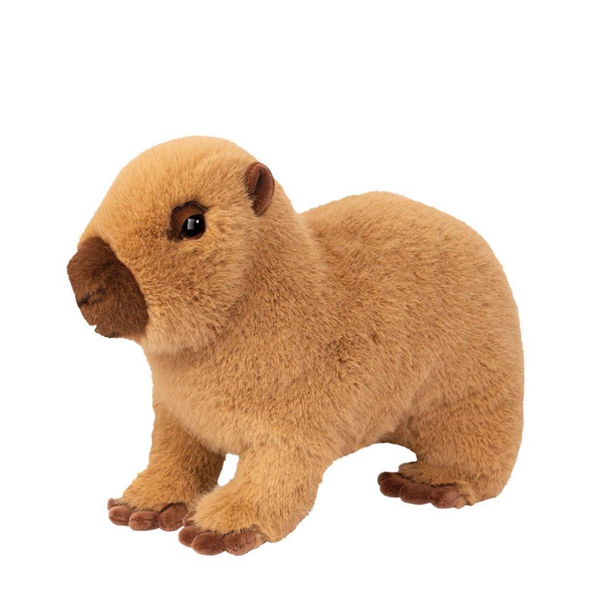 Chattie Capybara Large - Douglas