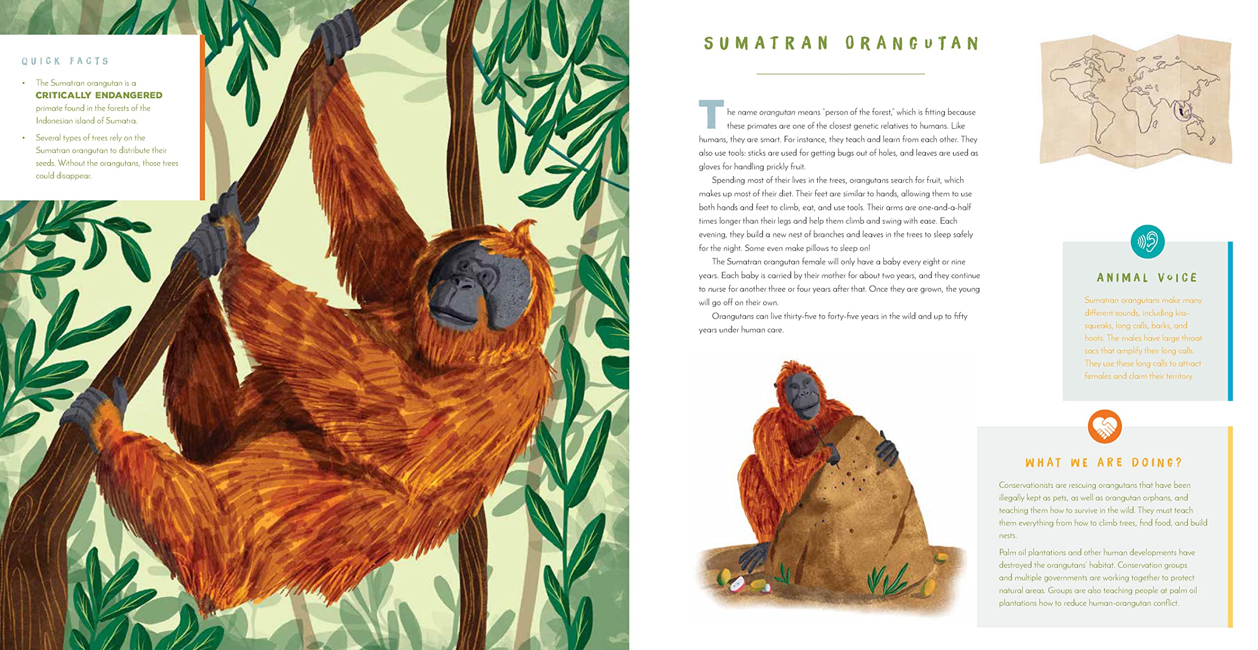 Hear Them Roar! 14 Endangered Animals from Around the World - Listen and Learn - Hardcover Books, photo 5 of 6