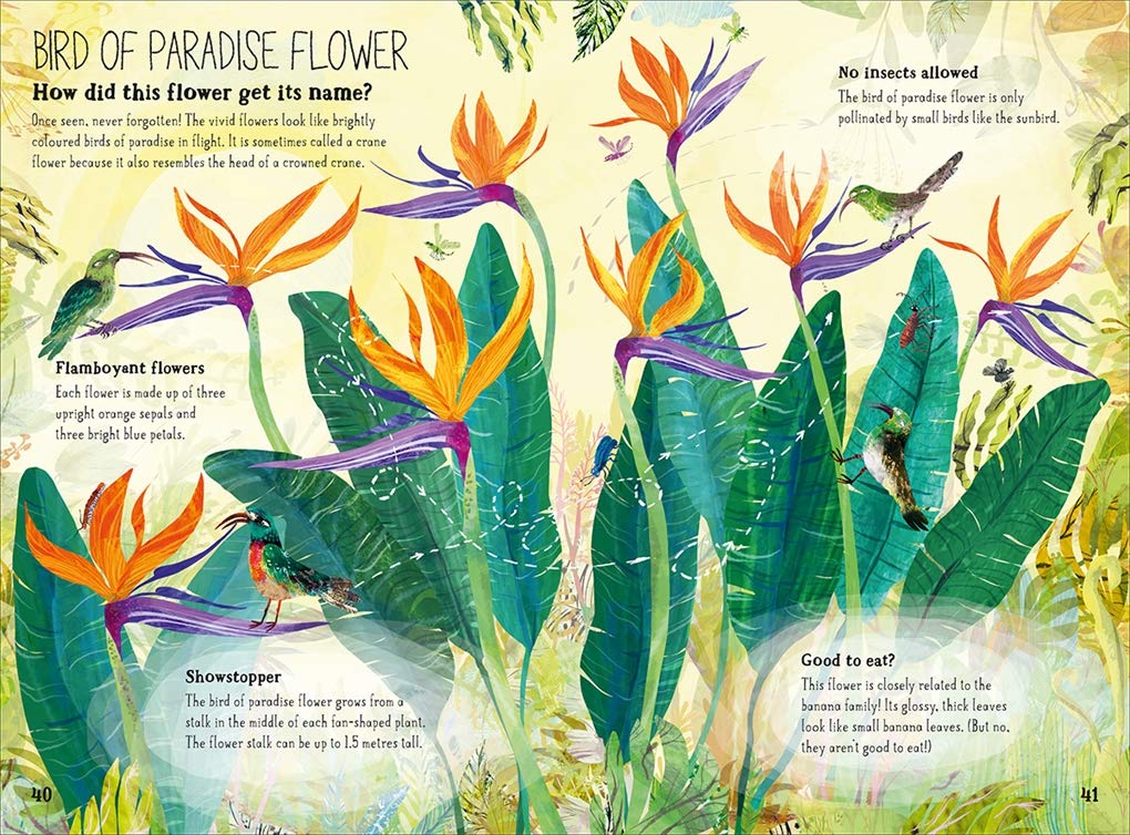 The Big Book of Blooms (The Big Book Series) - Large Hardcover Books, photo 8 of 8